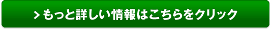 ラブロシャンプー【Raburo】販売サイトへ